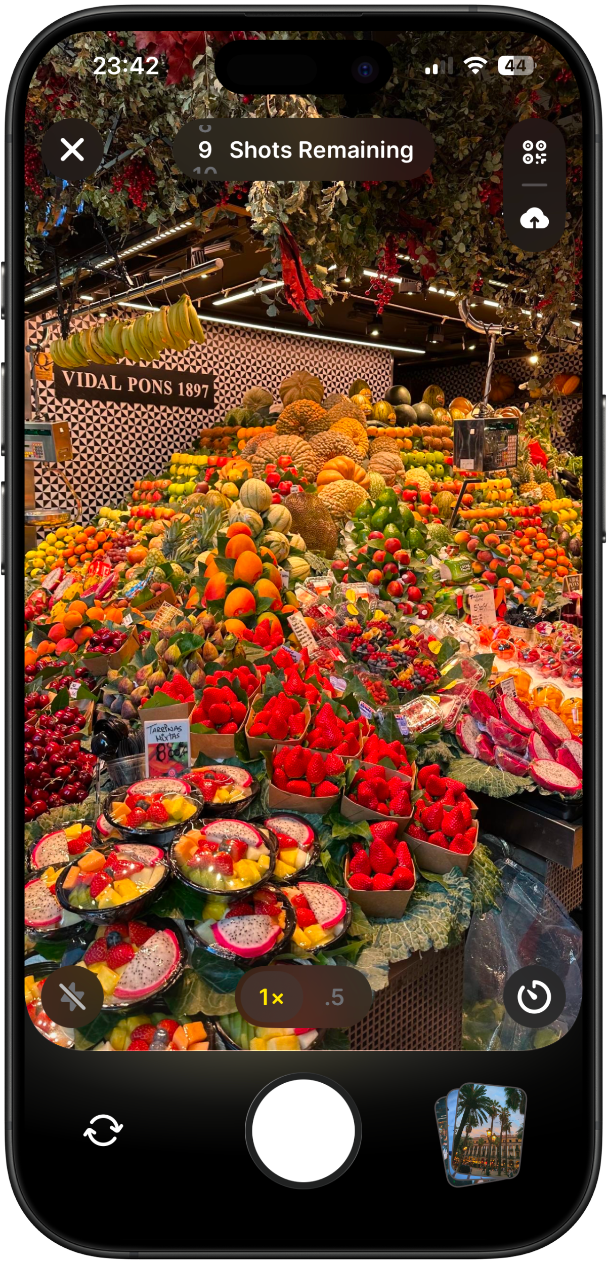 Monoroll camera view